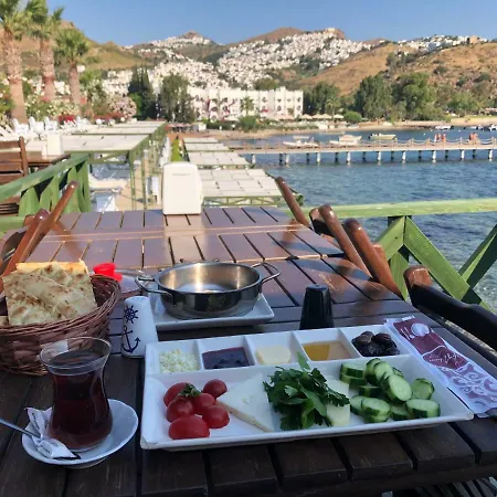 Deniz Kenarinda Genis Bahceli Muhtesem Yazlik Villa