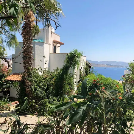 Villa Deniz Kenarinda Genis Bahceli Muhtesem Yazlik *
