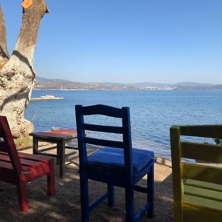 Villa Deniz Kenarinda Genis Bahceli Muhtesem Yazlik *